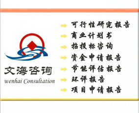 皮革項(xiàng)目商業(yè)計(jì)劃書編制服務(wù) 價(jià)格、規(guī)格與專業(yè)咨詢